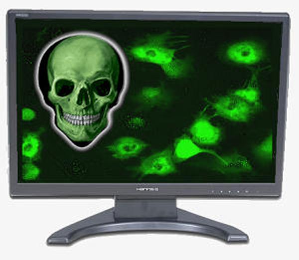 kompjuterski virus