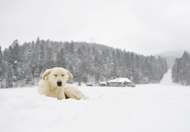 Bjelašnica pod snijegom/ Foto: Anadolija