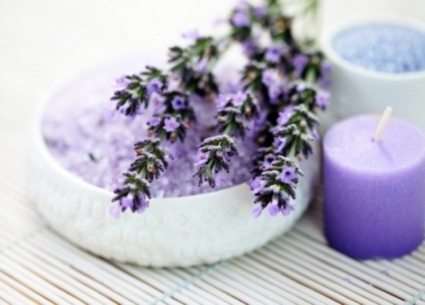 lavanda nasl