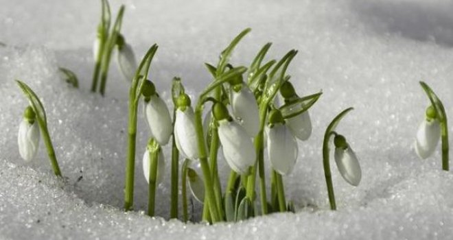 Naredne sedmice hladni val napušta BiH: Od srijede temperature iznad 10 stepeni 