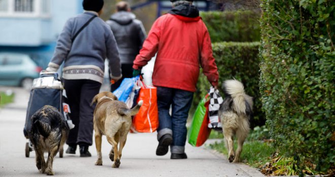 Rat zbog pasa: Šinteri hvataju vlasničke pse, pa za njih traže novac?!