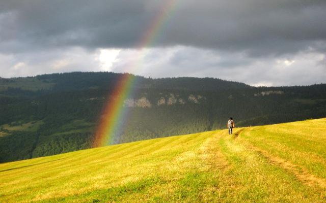 Vardište