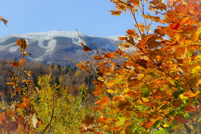 Prvi snijeg na Bjelašnici/ Foto: Anadolija