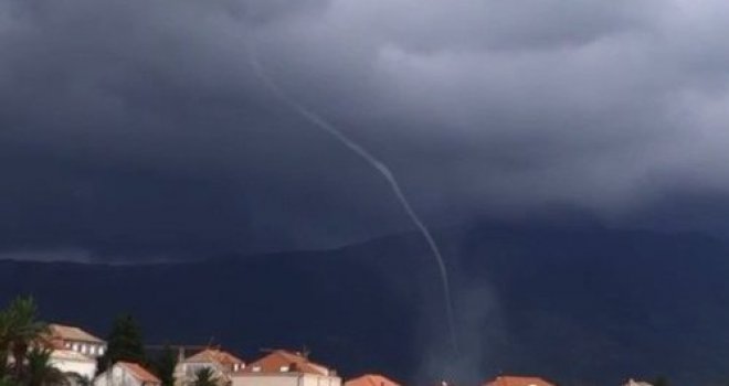 Pijavica poharala Jadran, mještani i turisti zaprepašteni