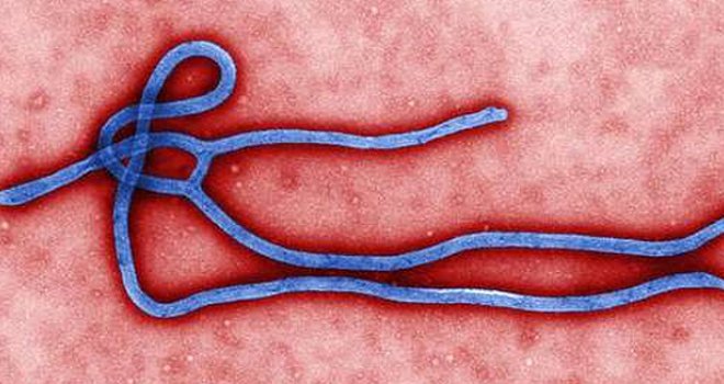 Epidemija prijeti cijelom svijetu: Opasni bi se virus vrlo lako mogao proširiti diljem planeta