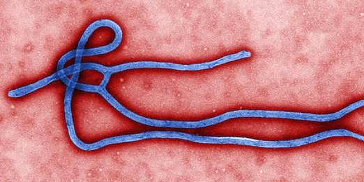 ebola-649952s1