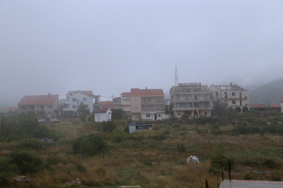 ivanica-3