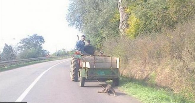 Divljaci za volanom: Psa vezali konopcem za traktor i vukli po cesti
