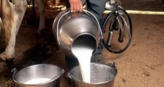 Zbog prisustva aflatoksina uništene velike količine mlijeka i mliječnih proizvoda