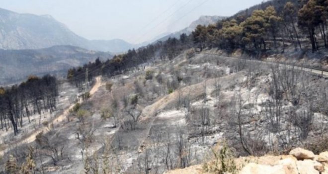 Evo kako je na spaljenom Pelješcu: Stigla pomoć i iz BiH
