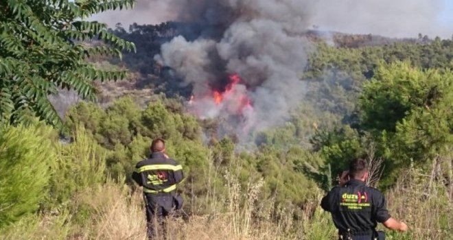 Mlada piromanka uhapšena zbog podmetanja šest požara na Korčuli u svega dva dana!