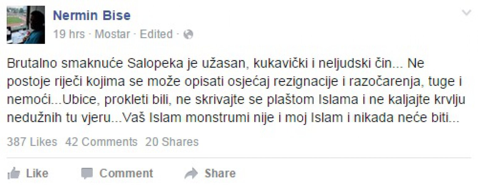 nermin-bise-status