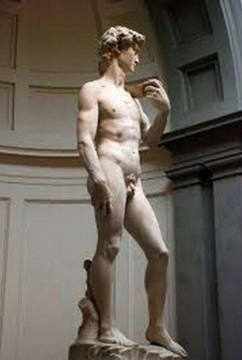 david-michelangelo-2