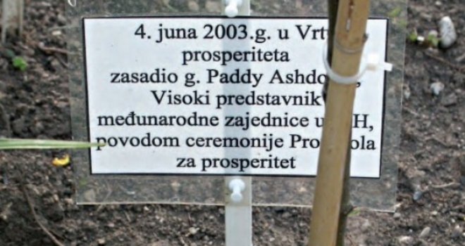 Uvele su ruže prosperiteta: Sjećate li se kako su premijer Terzić i lord Ashdown pompezno 'sadili' neku bolju BiH?!