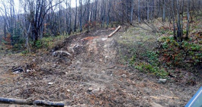Tragedija u Derventi: Ženi palo drvo na glavu, preminula na licu mjesta