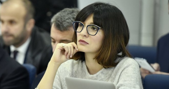 Ćudić: Ekspoze Adema Zolja je plagijat prepisan od profesora Mileta Vasića!