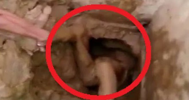 Zatvorenik pokušao pobjeći kroz WC školjku... Kad su našli, niko ga nije htio ni taknuti