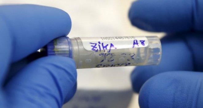Virus zika može se pojaviti i u BiH: Komarac prenosilac sve otporniji i opasniji