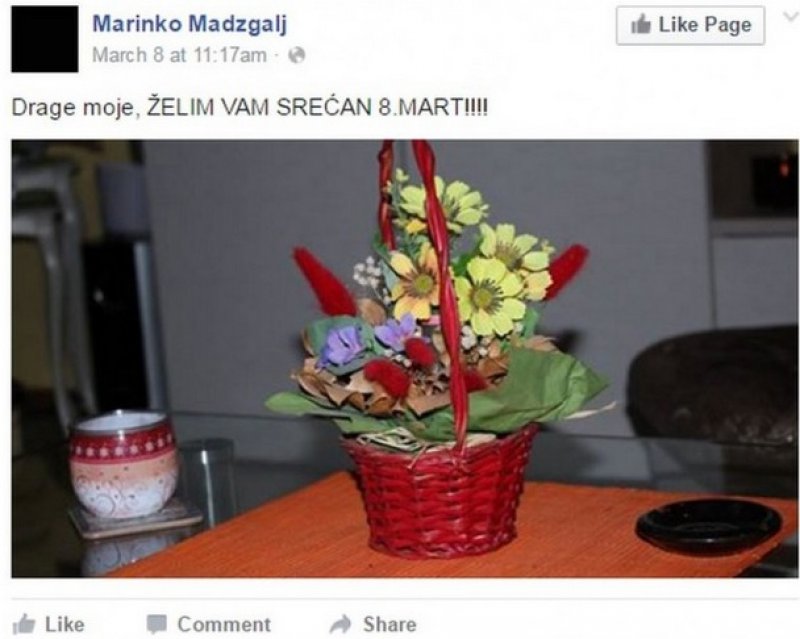 marinko-madzgalj-fb2