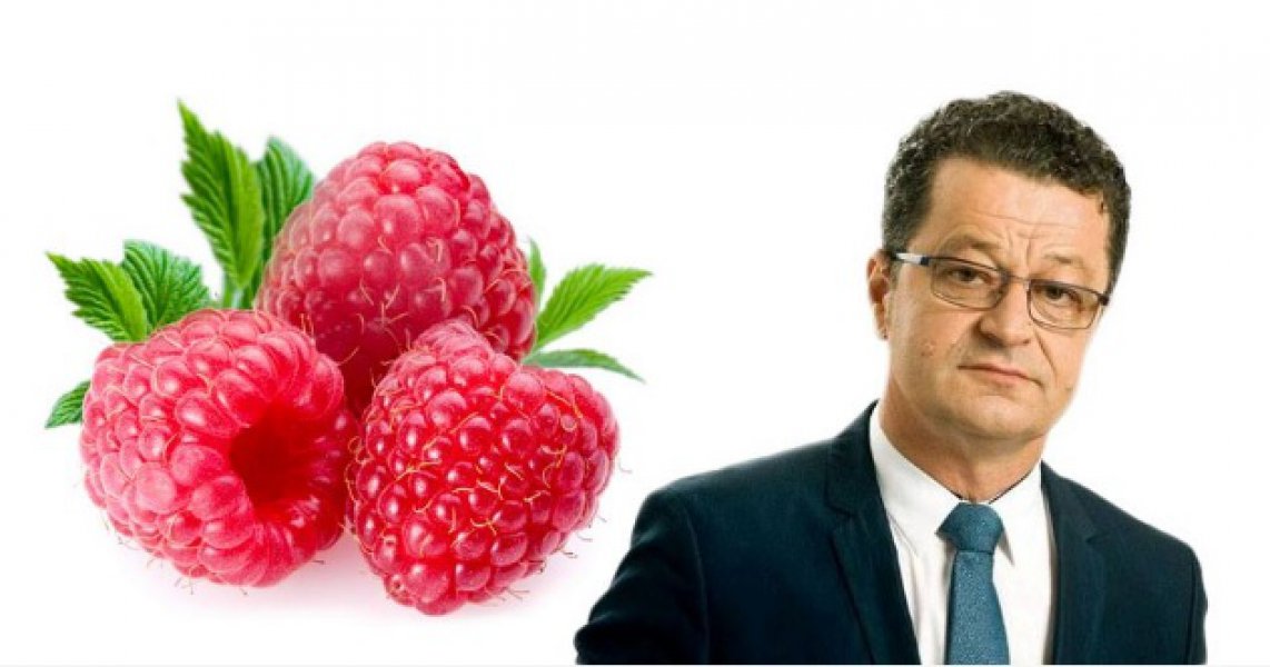 martin-raguz