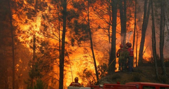 U čak 500 šumskih  požara u Portugalu poginulo 27 osoba