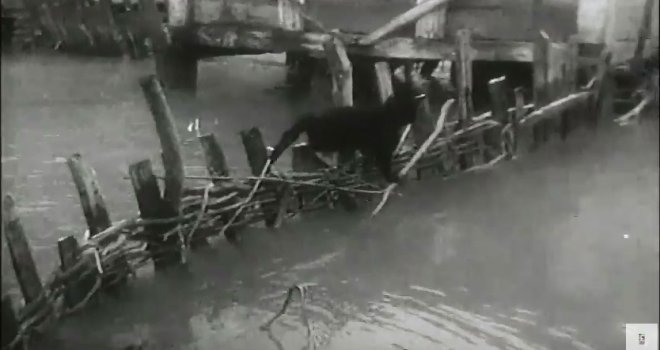 Kako je Šiba Krvavac snimao dramatične trenutke u BiH krajem 1959. godine: Kad voda postane smrtonosna...