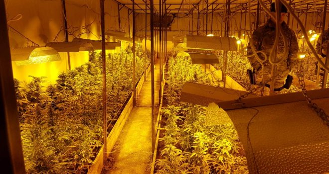 SIPA zauzela plantažu marihuane: Otkrivena laboratorija sa specijalnim klimatskim uslovima za uzgoj 'skunka'