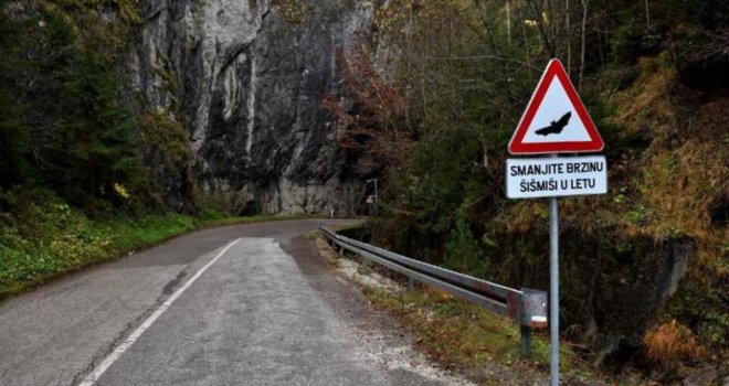 BiH prva na svijetu ima OVAJ saobraćajni znak: Kroz pećinu prolazi cesta, a tamo...