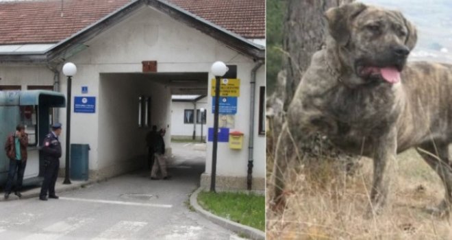 Ovo je SOP - Srpski odbrambeni pas koji je do smrti izujedao ženu na Palama: Kako je nastala krvoločna pasmina?
