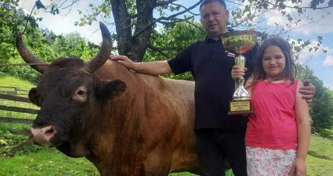 'Nudili su mi velike cifre, ali ne dam svog Medonju ni za 50.000 eura': Vlasnik poznatog bika otvorio dušu...
