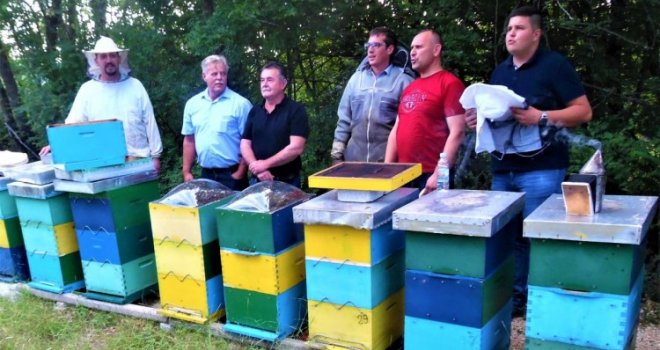 Bh. pčelari počinju sa proizvodnjom pčelinjeg otrova: Znate li za šta se koristi?