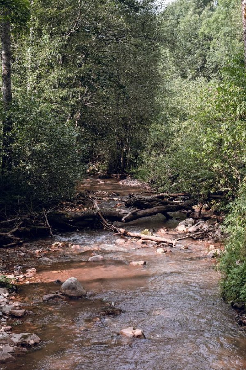 kasindolska-1