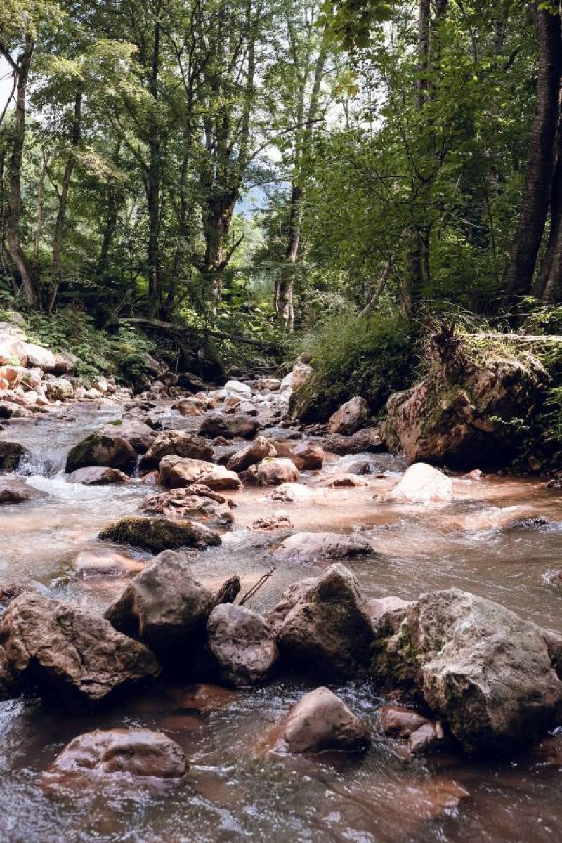 kasindolska-2