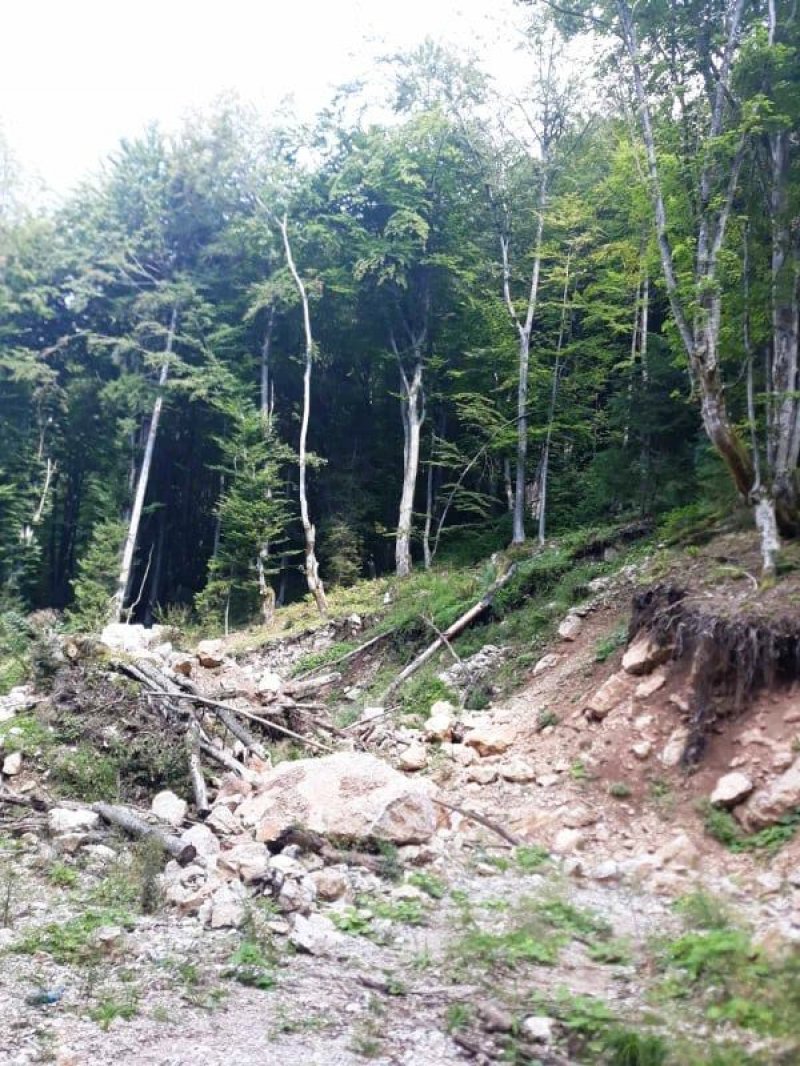 kasindolska-3