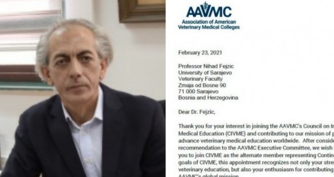 Prof. dr. Nihad Fejzić dopredsjedavajući međunarodnog vijeća u veterini za Evropu