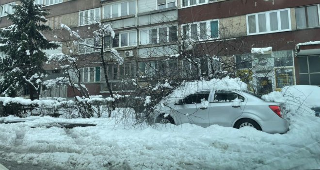 Možete li naplatiti štetu kada na automobil padne grana?