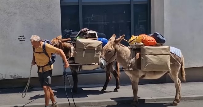 Šta se dešava: Šetali magarce po centru Sarajeva