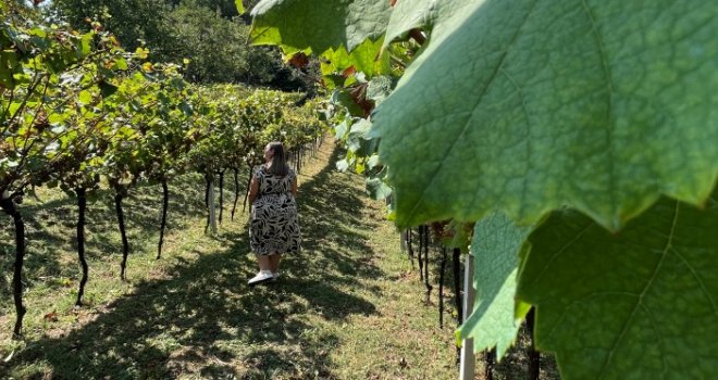 Neka muž radi, ali...: Žene na selu mogu voditi uspješne biznise, nisu samo domaćice