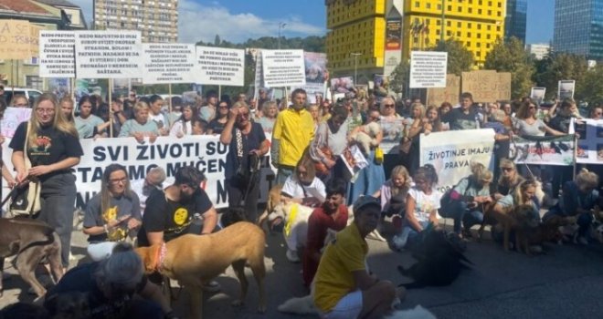 U Sarajevu protesti za ubijenog psa Medu: 'Napustio si ovaj surovi svijet okovan strahom, bolom i patnjom' 