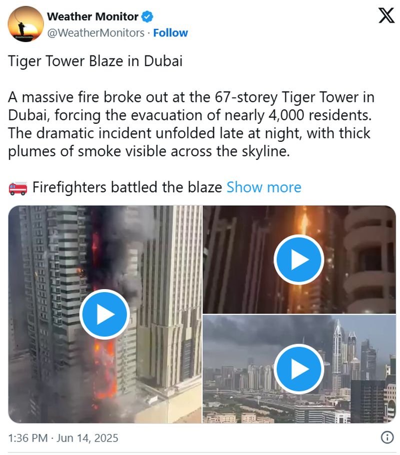 tiger-tvit