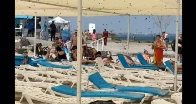 Porodica na plažu donijela ručak... Kada su se vratili iz vode, dočekalo ih je neugodno iznenađenje 