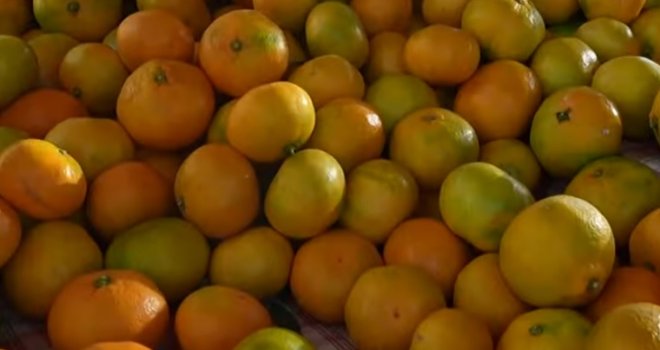 Pesticidi u mandarinama: Analiza otkrila šta zapravo jedemo