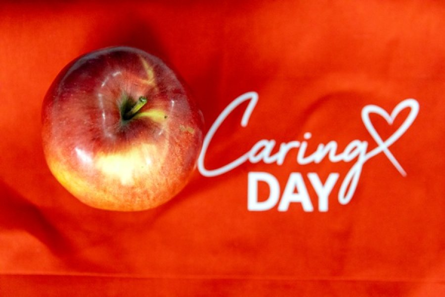 hemofarm-marko-risovic-dan-briznosti