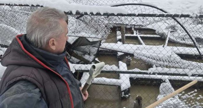 Potpuno uništen ribnjak porodice Delić: 'Iz jednog bazena uspio sam spasiti tek oko 300 kg ribe, a imao sam oko 4-5 tona'