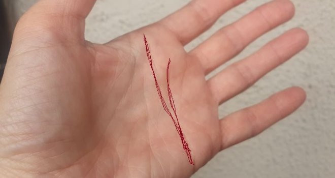 Samo rijetki sretnici imaju ovu liniju na dlanu, jeste li među njima? Evo šta ona znači...