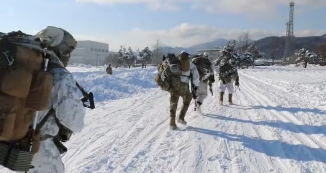 Neočekivani obrat na terenu: Medvjedi napali američke trupe, prekinuta arktička vježba