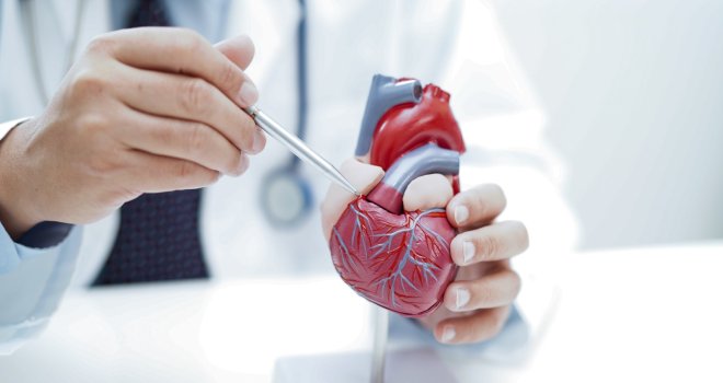 Okupili se vodeći regionalni kardiolozi, posebnu pažnju privukla dva izlaganja: Savremeni pristupi u kardiologiji