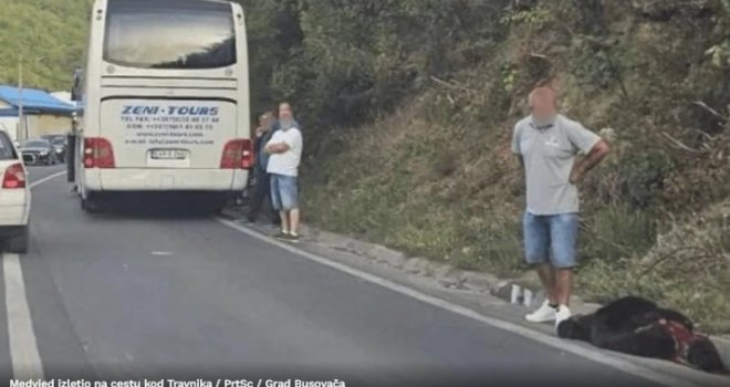 Medvjed izletio na cestu kod Travnika, završio pod autobusom: Vozačima se preporučuje dodatni oprez