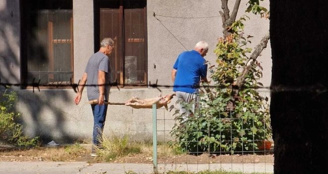 Iza praseta na ražnju u Zemaljskom muzeju  stoji stanar kompleksa, a problem je mnogo veći